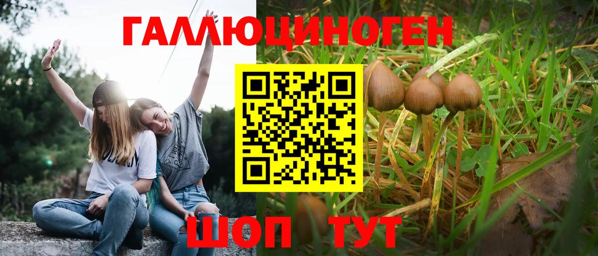 Псилоцибиновые грибы мухоморы  Вход с VPN  Псилоцибиновые грибы мицелий  Вятские Поляны 
